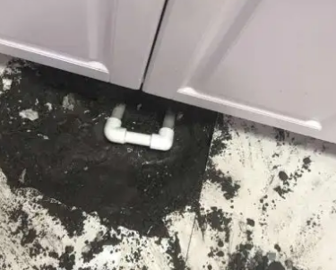 新城查漏水哪家好